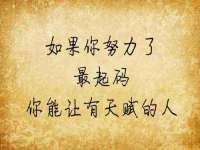 上海运博鹏网络技术有限公司