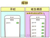 上海运博鹏网络技术有限公司