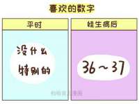 上海运博鹏网络技术有限公司