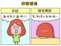 上海运博鹏网络技术有限公司