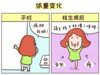 上海运博鹏网络技术有限公司