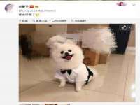 上海运博鹏网络技术有限公司