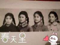 上海运博鹏网络技术有限公司