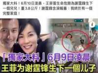 上海运博鹏网络技术有限公司