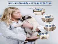 上海运博鹏网络技术有限公司