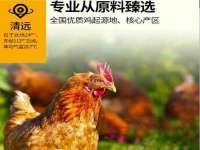 上海运博鹏网络技术有限公司