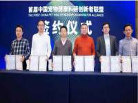 上海运博鹏网络技术有限公司