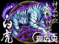 上海运博鹏网络技术有限公司