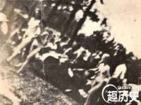上海运博鹏网络技术有限公司