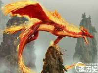 上海运博鹏网络技术有限公司