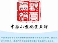 上海运博鹏网络技术有限公司