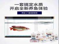 上海运博鹏网络技术有限公司