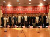 上海运博鹏网络技术有限公司