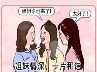 上海运博鹏网络技术有限公司