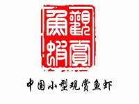 上海运博鹏网络技术有限公司