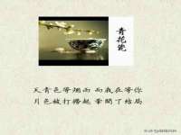 上海运博鹏网络技术有限公司