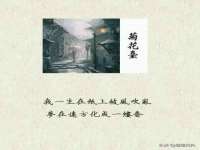 上海运博鹏网络技术有限公司