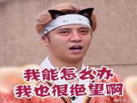 上海运博鹏网络技术有限公司