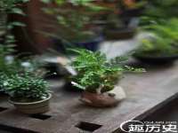 上海运博鹏网络技术有限公司