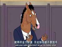 上海运博鹏网络技术有限公司