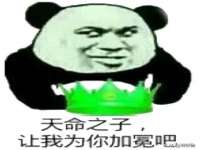 上海运博鹏网络技术有限公司