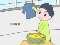 上海运博鹏网络技术有限公司