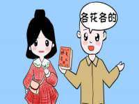 上海运博鹏网络技术有限公司