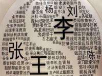 上海运博鹏网络技术有限公司