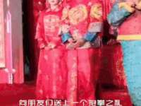 上海运博鹏网络技术有限公司