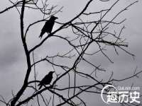 上海运博鹏网络技术有限公司