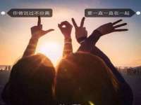 上海运博鹏网络技术有限公司