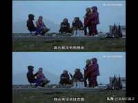 上海运博鹏网络技术有限公司