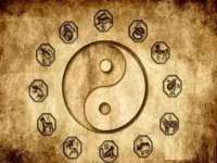 上海运博鹏网络技术有限公司