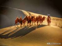 上海运博鹏网络技术有限公司