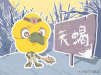 上海运博鹏网络技术有限公司