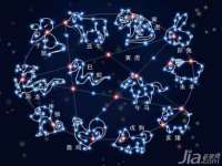 上海运博鹏网络技术有限公司