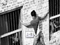 上海运博鹏网络技术有限公司