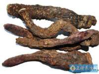 上海运博鹏网络技术有限公司