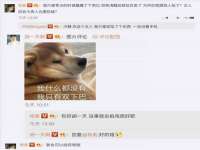 上海运博鹏网络技术有限公司