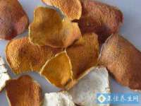 上海运博鹏网络技术有限公司