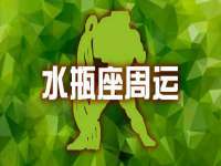 上海运博鹏网络技术有限公司