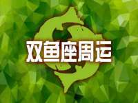 上海运博鹏网络技术有限公司