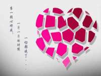 上海运博鹏网络技术有限公司