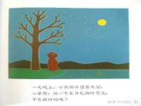 上海运博鹏网络技术有限公司
