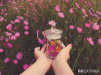 上海运博鹏网络技术有限公司