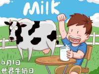 上海运博鹏网络技术有限公司