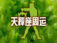 上海运博鹏网络技术有限公司