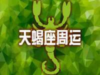 上海运博鹏网络技术有限公司