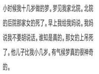 上海运博鹏网络技术有限公司