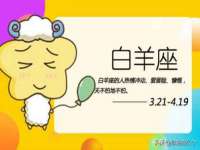 上海运博鹏网络技术有限公司